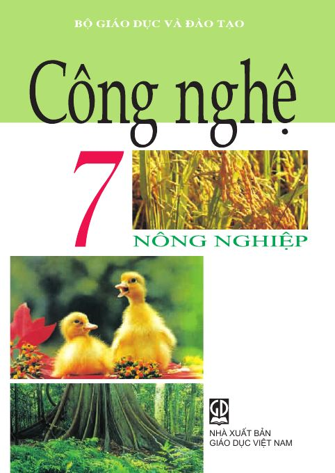 Bài 21: Luân canh, xen canh, tăng vụ